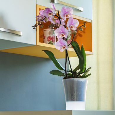 Горшок для орхидей Santino Arte 0,6л