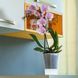 Горщик для орхідей Santino Arte 0,6 л