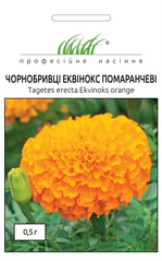 Бархатцы Эквинокс оранжевые /0,5г/ Професійне насіння.