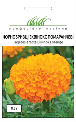 Чорнобривці Еквінокс помаранчеві /0,5г/ Професійне насіння.