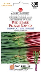 Лук на зелень Рыжая борода /300шт/ Солнечный март