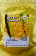 Кукуруза сахарная Джамала F1 /50г/ НК Элит