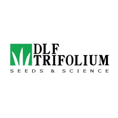 Трава газонна Дюймовочка DLF /1кг/ Професійне насіння