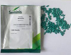 Огурец Мадейра F1 /100шт/ Seminis, Нидерланды