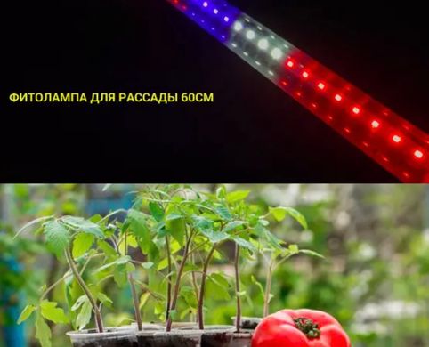 Фіто лампа для вирощування розсади 60см 9Вт Е8 48D (червоно-синій-білий спектр)