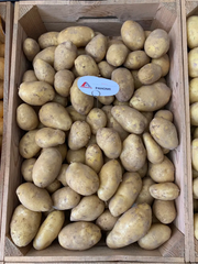 Семенной (посадочный) картофель Раноми 1 репродукция /2,5кг/ AGRICO