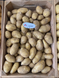 Насіннєва (посадкова) картопля Раномі 1 репродукція /2,5кг/ AGRICO