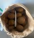 Семенной посадочный картофель Сенсейшн 5кг IPM Potato, Голландия 1репродукция
