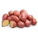 Насіннєва (посадкова) картопля Алюетт1 репродукція /2,5кг/ AGRICO