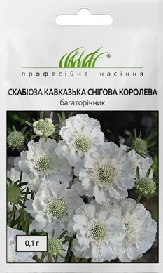 Скабіоза кавказька Снігова королева 0,1г Професійне насіння