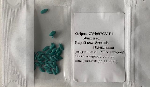 Огурец СВ 4097 ЦВ F1 /50шт/ Seminis, Нидерланды