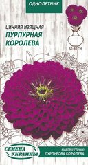 Цинния (Майоры) изящная Пурпурная королева /0,5г/ Семена Украины