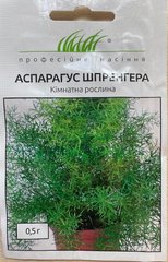 Аспарагус Шпренгера /0,5г/ Професійне насіння