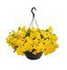 Віола вітроку ампельна Хайфлаєр F1 Light Yellow 5 драже Benary