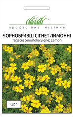 Бархатцы мелкоцветковые Сигнет лимонные /0,2г/ Професійне насіння