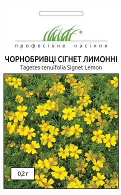 Бархатцы мелкоцветковые Сигнет лимонные /0,2г/ Професійне насіння