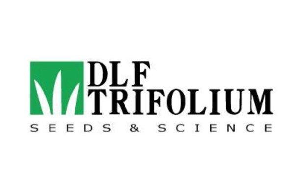 Трава газонна Універсальна DLF Trifolium (Данія) /100г/ Професійне насіння.