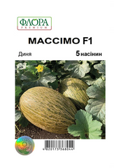 Дыня Массимо F1 5шт Агропакгруп
