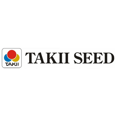 Изолепис витончений Фібре Оптікс 5 мультидраже Тakii seed, Японія