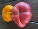 Томат Лотарингская красавица розовая /10шт/ Частная коллекция "YES! огород"