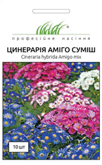 Перикалис Амиго (цинерария цветущая) Амиго /10шт/ Професійне насіння