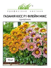 Газанія блискуча Кісс флейм мікс F1 /10шт/ Професійне насіння