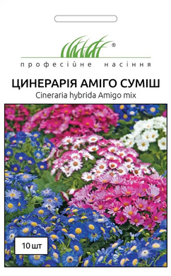 Перикаліс Аміго (цінерарія квітуча) Аміго /10шт/ Професійне насіння