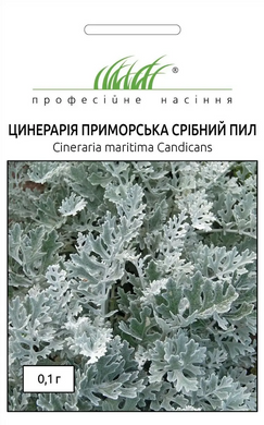 Цинерария приморская Серебряная пыль /0,1г/ Професійне насіння