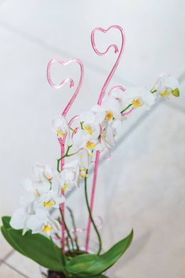 Держатель для орхидей  59 см FORM PLASTIK
