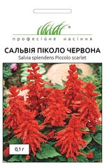 Сальвия блестящая Пиколо красная /0,1г/ Професійне насіння