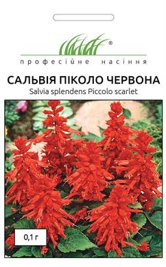Сальвія блискуча Піколо червона /0,1г/ Професійне насіння