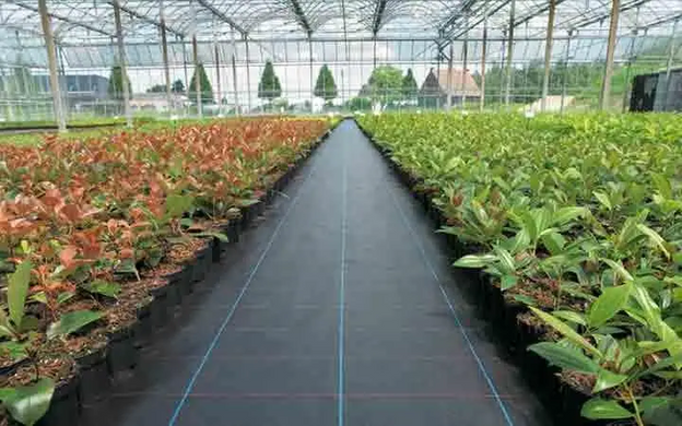 Агроткань против сорняков 70 г/м² PP, черная UV 1,6х100м, AT7016100 Bradas Польша