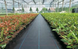 Агроткань против сорняков 70 г/м² PP, черная UV 1,6м, AT7016100 Bradas Польша на метраж