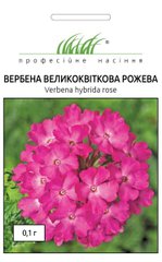 Вербена крупноцветковая Розовая /0,1г/ Професійне насіння.