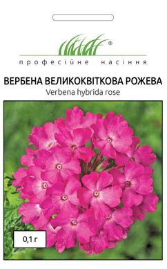 Вербена крупноцветковая Розовая /0,1г/ Професійне насіння.