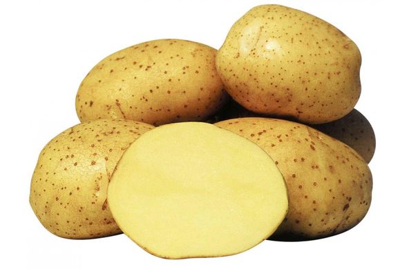 Насіннєва (посадкова) картопля Рів'єра 1 репродукція /2,5кг/ AGRICO