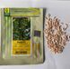 Огурец Баде F1 YS /50шт/ Yuksel Seeds, Турция