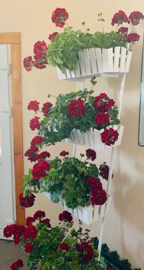 Кованная подставка для цветов Лестница кантри 4