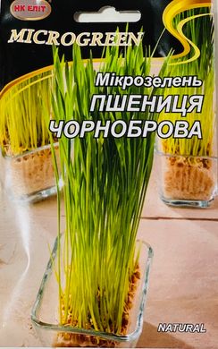 Мікрозелень Пшениця Чорноброва органічна /50г/ НК Еліт.