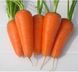 Морковь Шантане Ред Кор /1г/ Професійне насіння