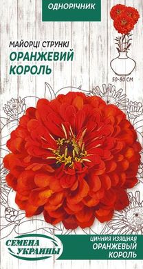 Цинния (Майоры) изящная Оранжевый король /0,5г/ Семена Украины