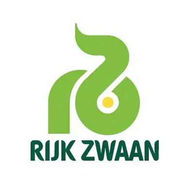 Огірок Пучині F1 /10г насіння/ Rijk Zwaan, Нідерланди